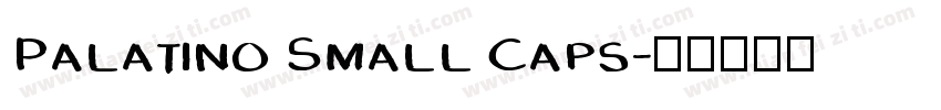 Palatino Small Caps字体转换